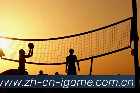 爱游戏官网服务体系